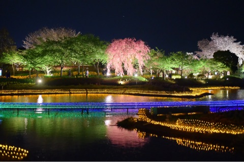 {25DD1C6E-BC36-48EB-B551-4CCE7C92BBF4}