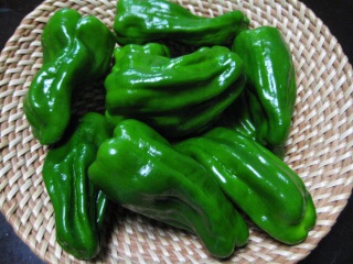 {BBF1A092-649C-4F0C-86BF-6B77CCBA2EA3}