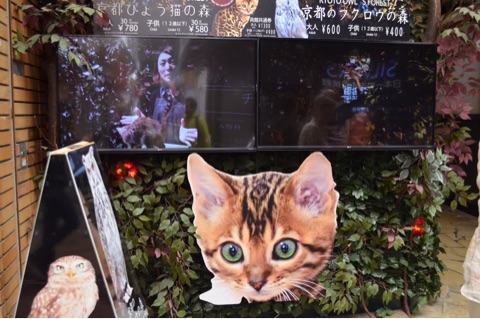 {0CEBDD18-1F39-4838-A58F-9A85370A90E5}