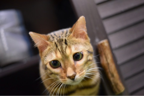 {5E5AFF10-A239-4EC5-B337-B6151774F9F7}