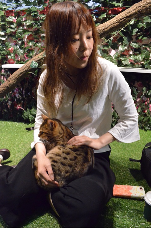 {958CD472-1EFF-47C8-B233-EB21DE1FFA1A}