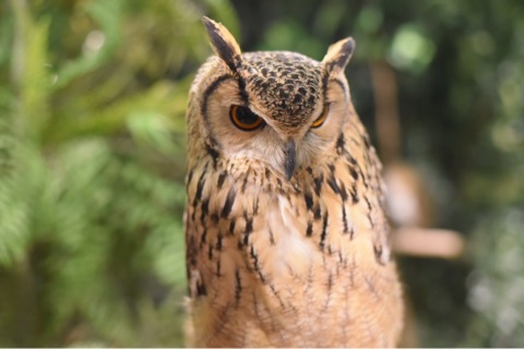 {ED2152FA-F26A-40C3-B78B-ED5A4A9E4427}