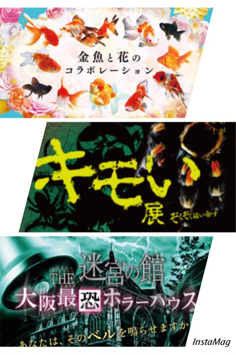 {14155674-A394-4EBF-9824-AFCDD3D59967}