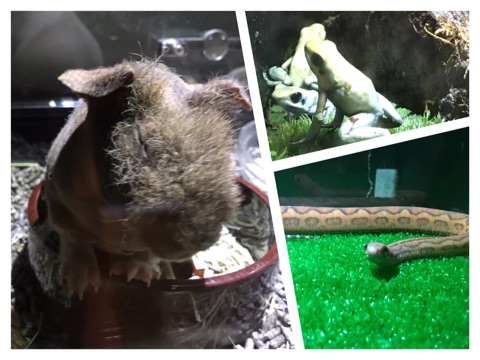 {050BC7DD-8E75-47CC-A91D-FE21E6A24B44}