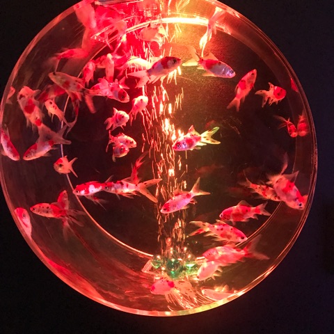 {0613B2EC-784D-40A1-8DD0-F145BE6B23A2}