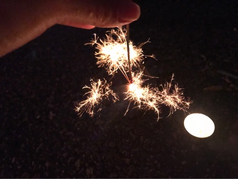 {9994ED0E-225A-4647-A49F-47321DEEF5AD}