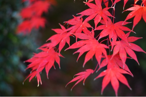 {4FA9D107-035C-4639-983F-426C300E7F55}