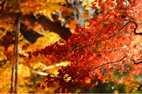 {DE3BF55E-F67F-4E66-8086-D1063BBA0A4C}