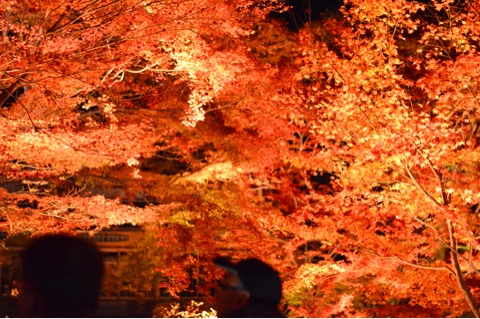 {640AB8EC-A70B-4871-9397-051877FD0FDB}