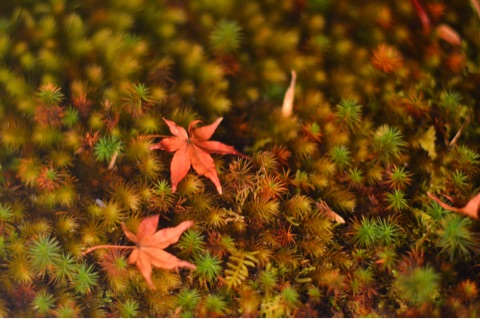 {7EE5817D-0766-4716-836A-04D5398AF7AE}