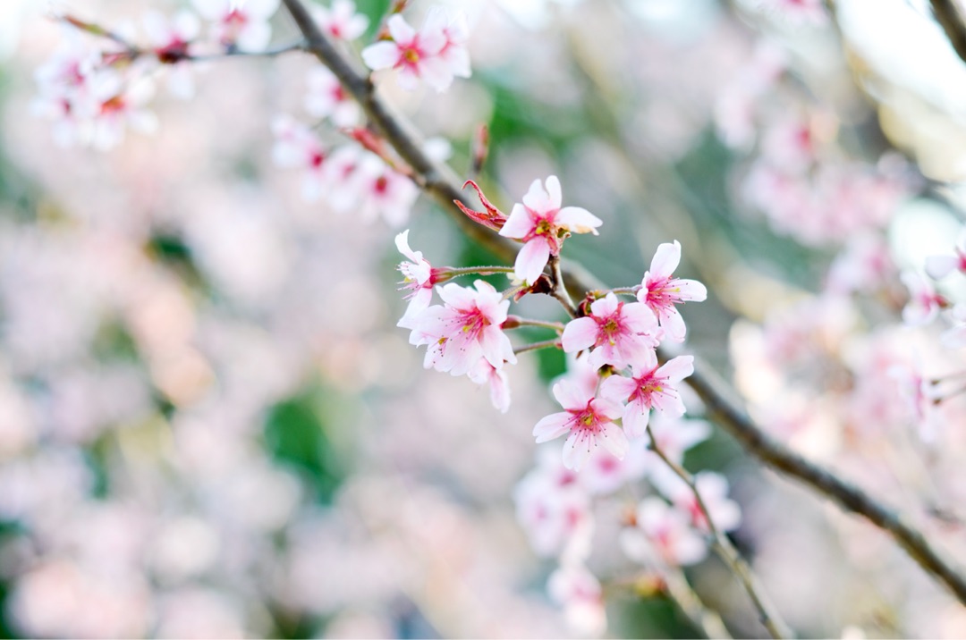 {C209EAAB-9549-4979-ACA0-D226888228B2}