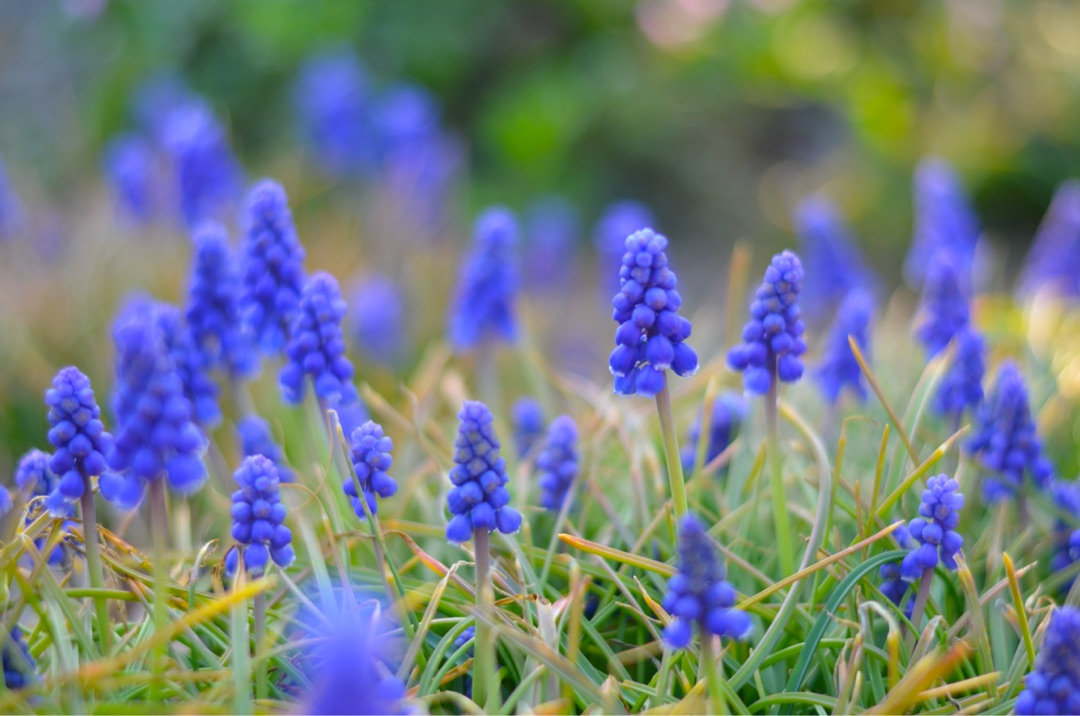 {0BB978E9-0FE5-4125-96C9-0D4B420E7EC8}