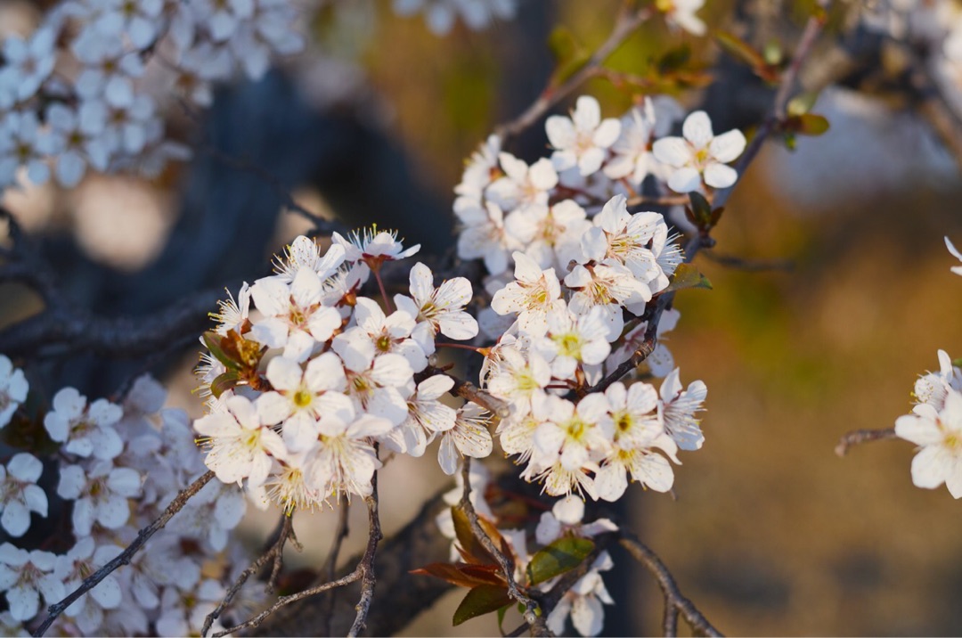 {5326EA08-FA9B-4940-B4CF-BEAD93BF9826}