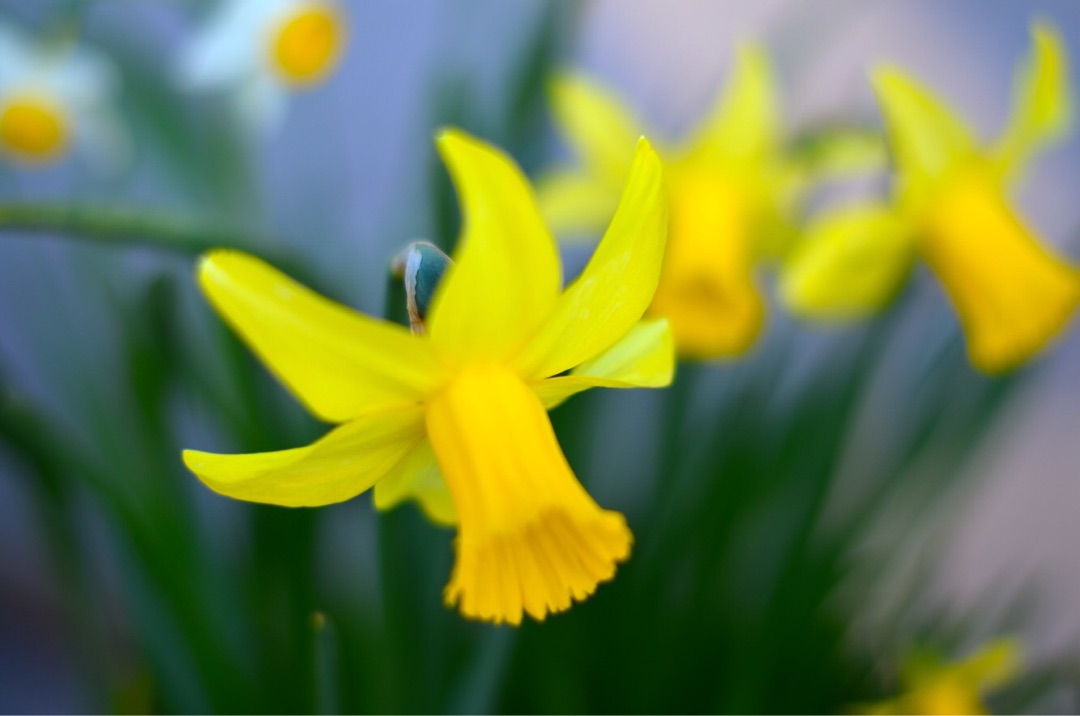 {24306F67-7C5C-44EE-AC51-5DC71B08A05E}