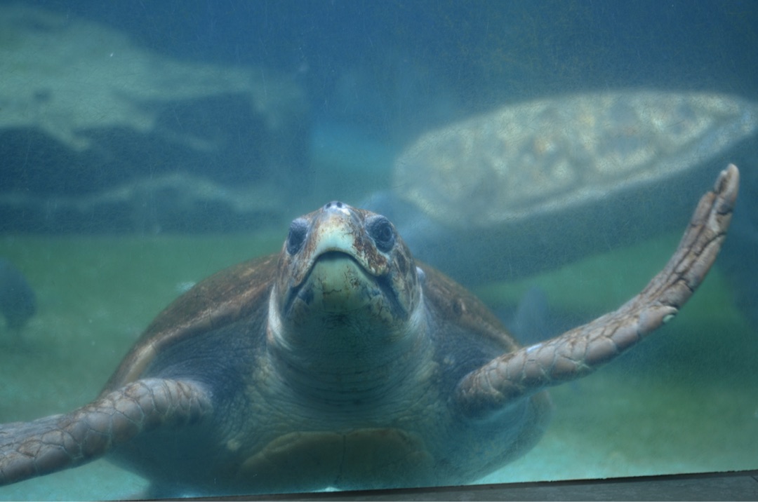 {189236C8-0B07-4DA1-9917-DB36EB26A0BF}