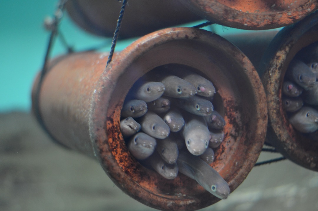 {64612303-A897-4C16-A2C5-DEA48CEEB9A8}