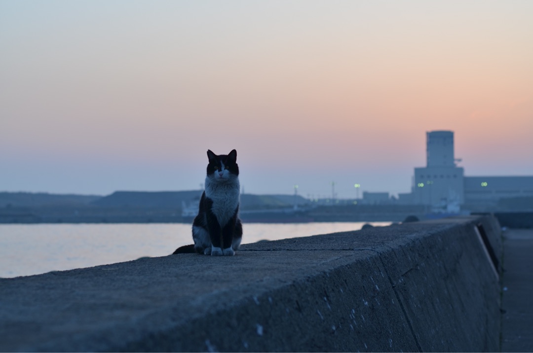 {5B8A2C57-F5C6-4585-A908-28EE478E4D79}