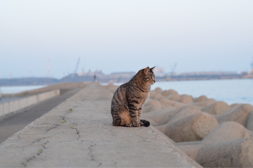 {38EB2EE6-C9D4-45AD-A9B2-11B75ECC467A}