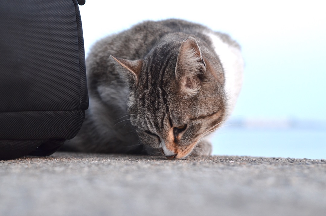 {7967C1BC-AC96-4965-A6B3-EFF1E1318209}