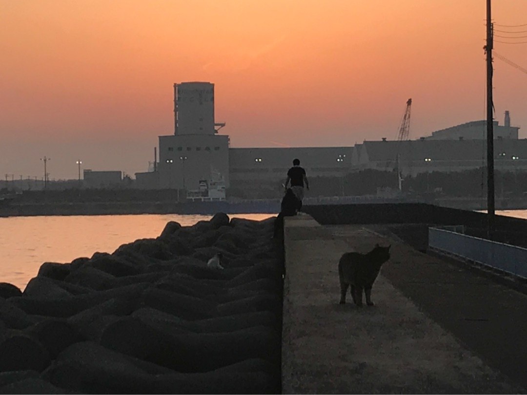 {DF8CC171-4416-4480-907C-ADA5EEFA664F}