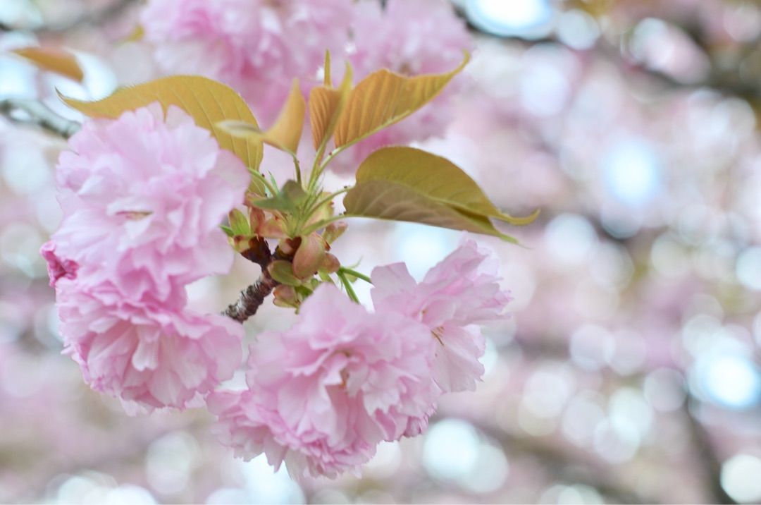 {B7209B4A-1B60-4686-A12A-44B96D7C04B5}