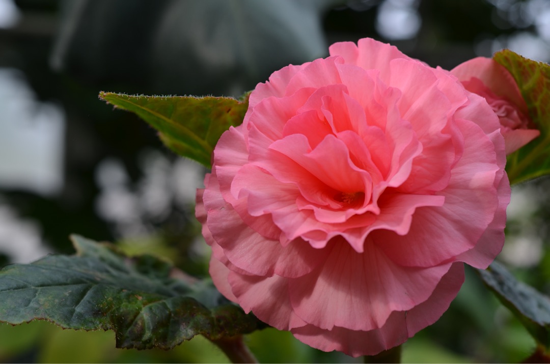 {A39E6204-C55A-4CCB-900B-D254FF79105A}