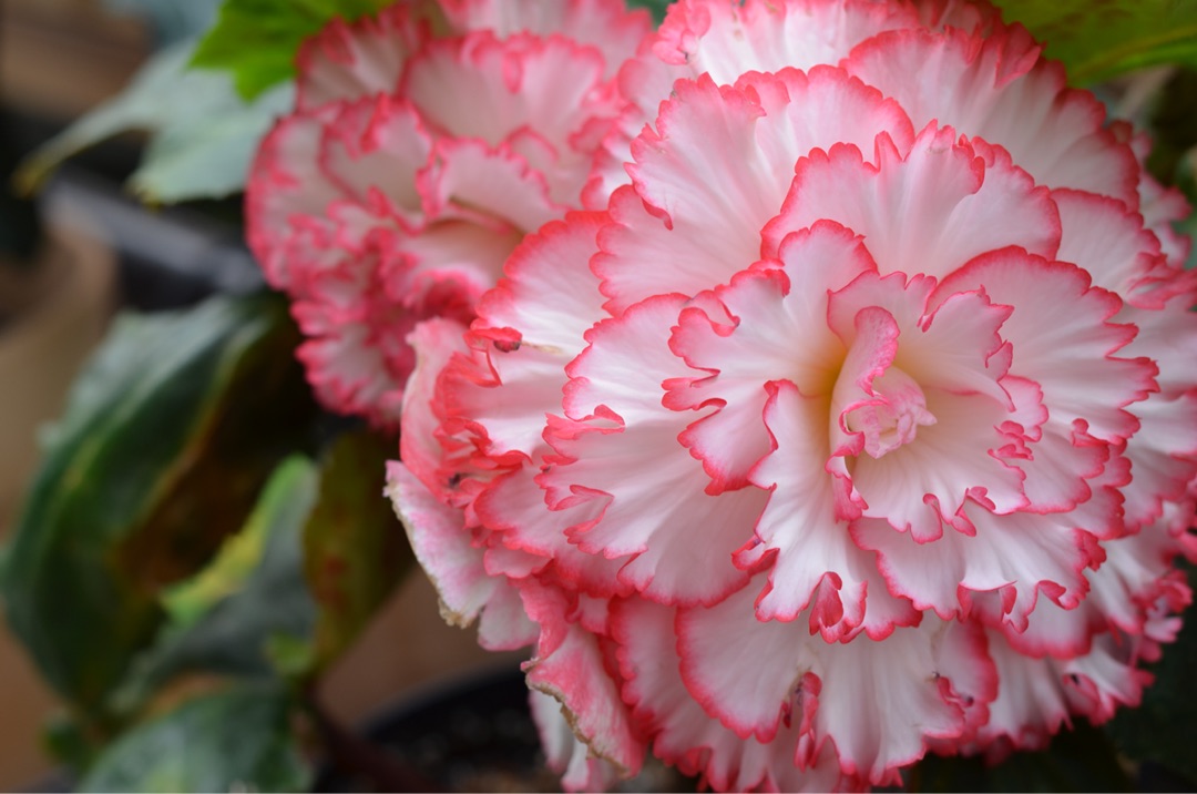 {3A079527-2B7C-4123-ADB7-C850B2EB28AF}