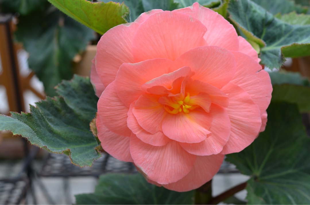 {4CF0D957-1C29-483E-BBE9-106D1D4BAC03}