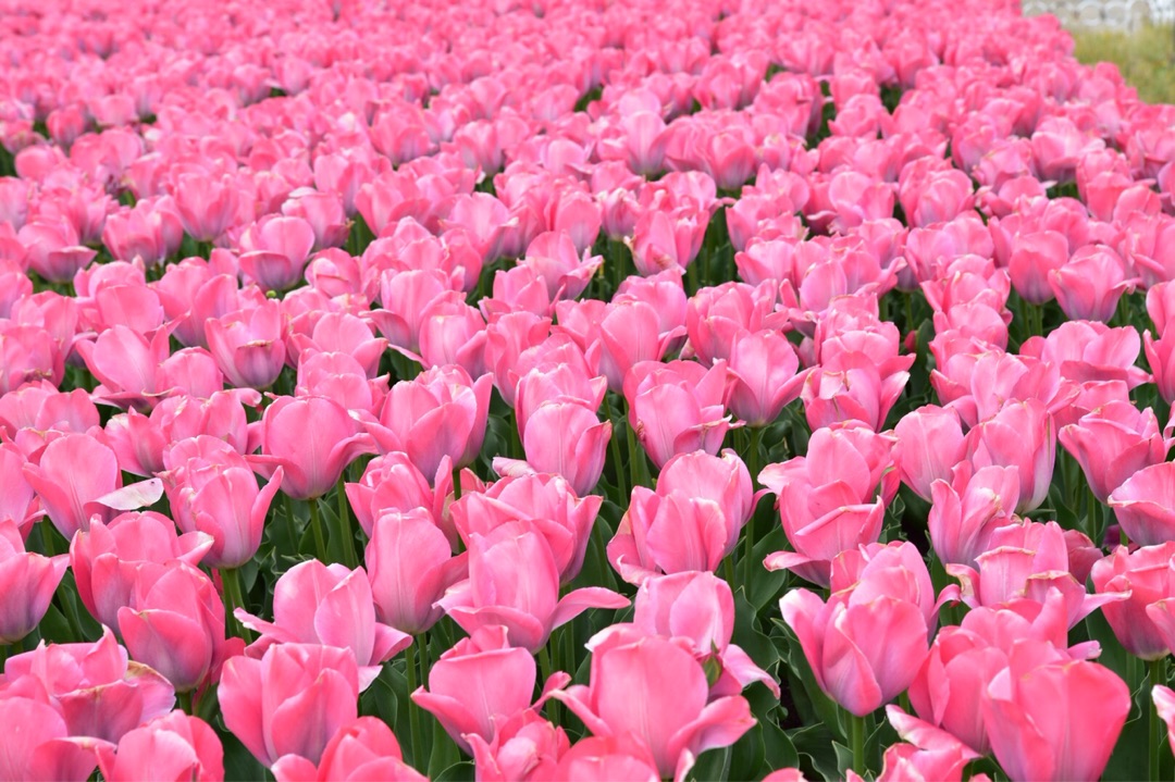 {74567601-AD21-4B98-9748-9B10A2002607}