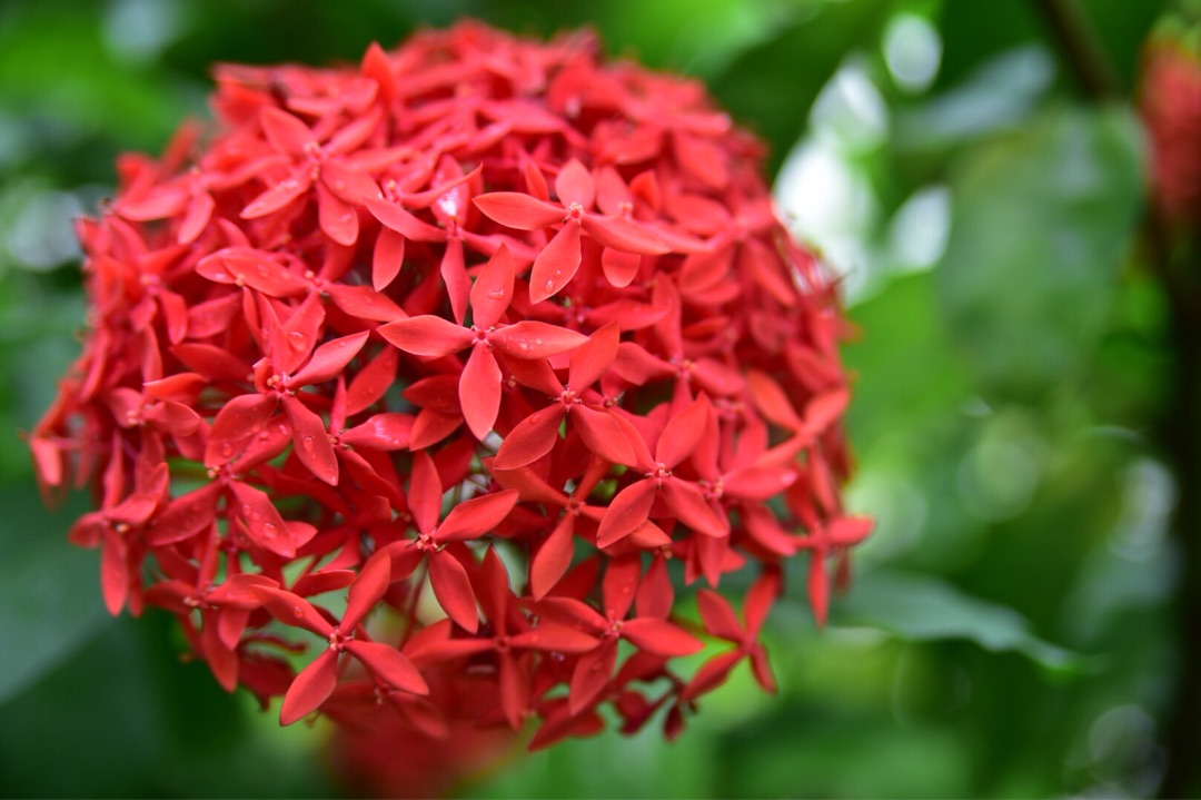 {BBA4B0F6-183A-4AD5-9E4C-B2E515CAED58}