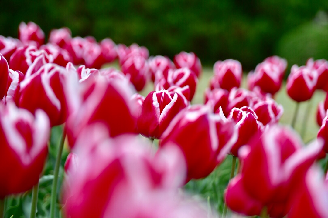 {6EE51EA4-E604-46D1-AE51-421ECA16D40F}