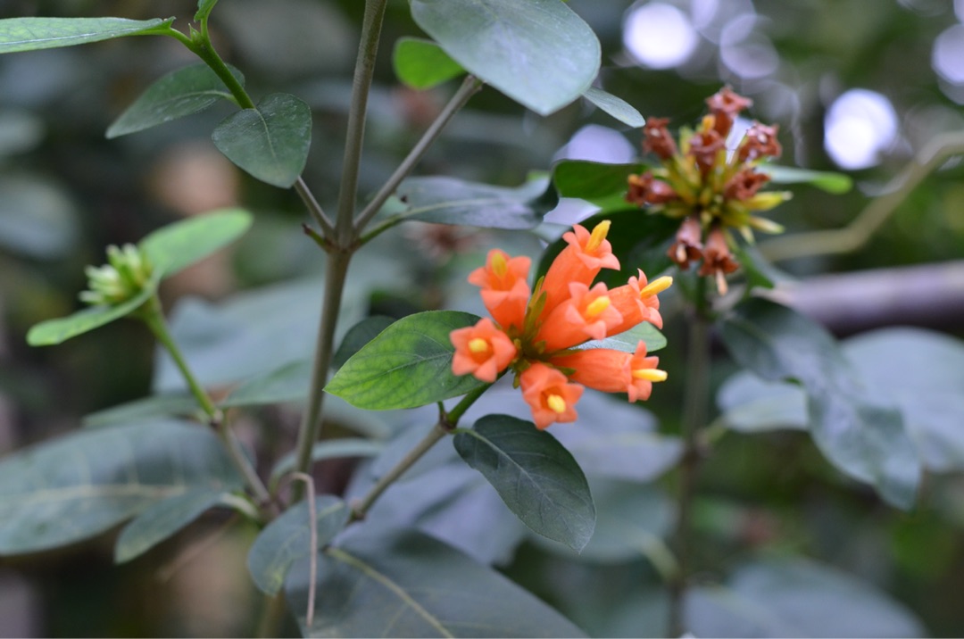 {4BC1FA1E-69F9-4124-8C25-0709F360BD8B}