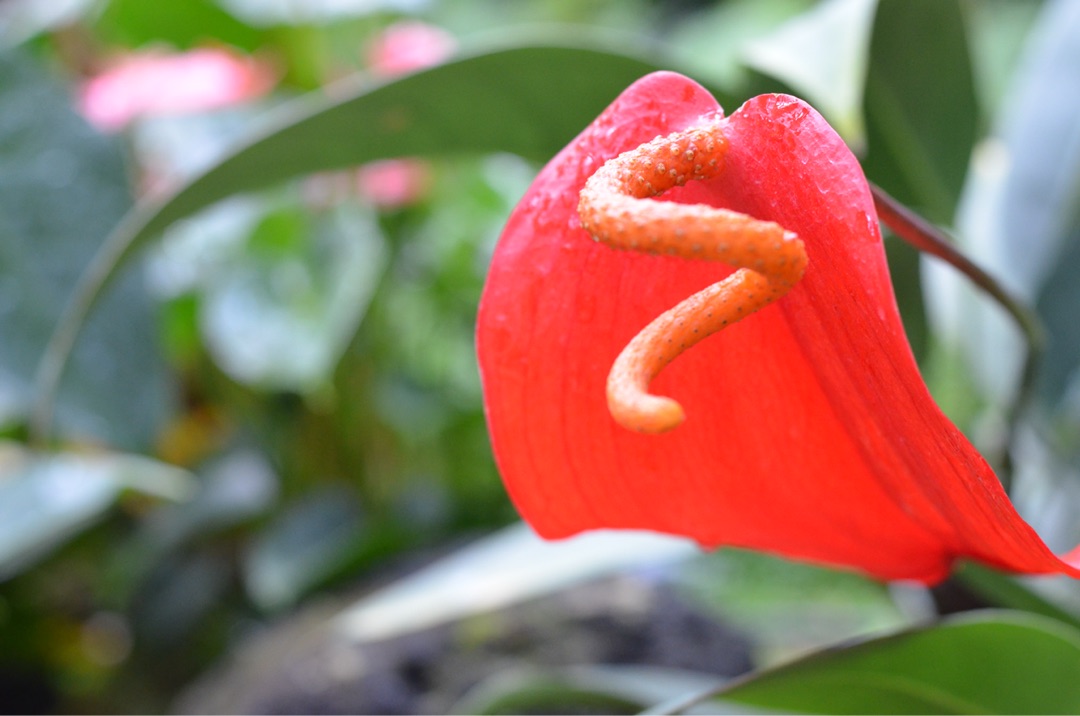 {5E6B0A7B-214B-40C3-8486-3841C39A2DD7}