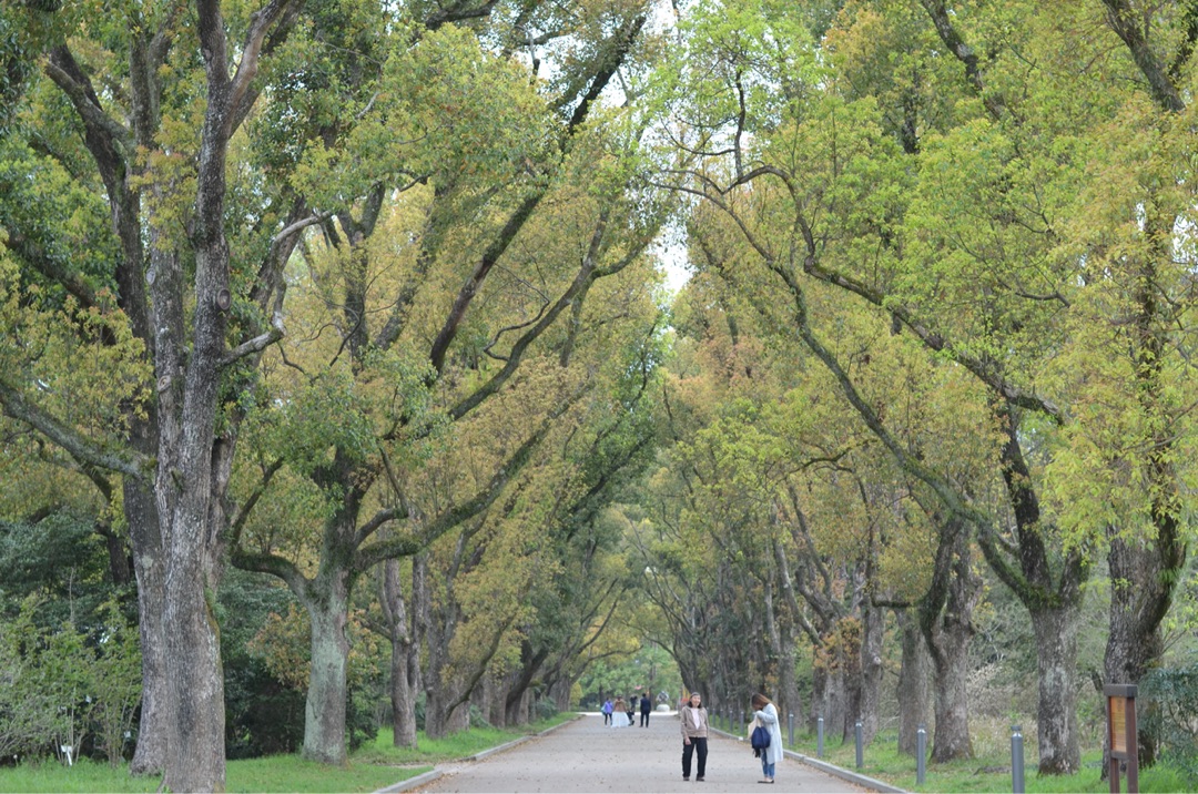 {834AD75D-156A-45F2-9EF6-75BC004C3A49}