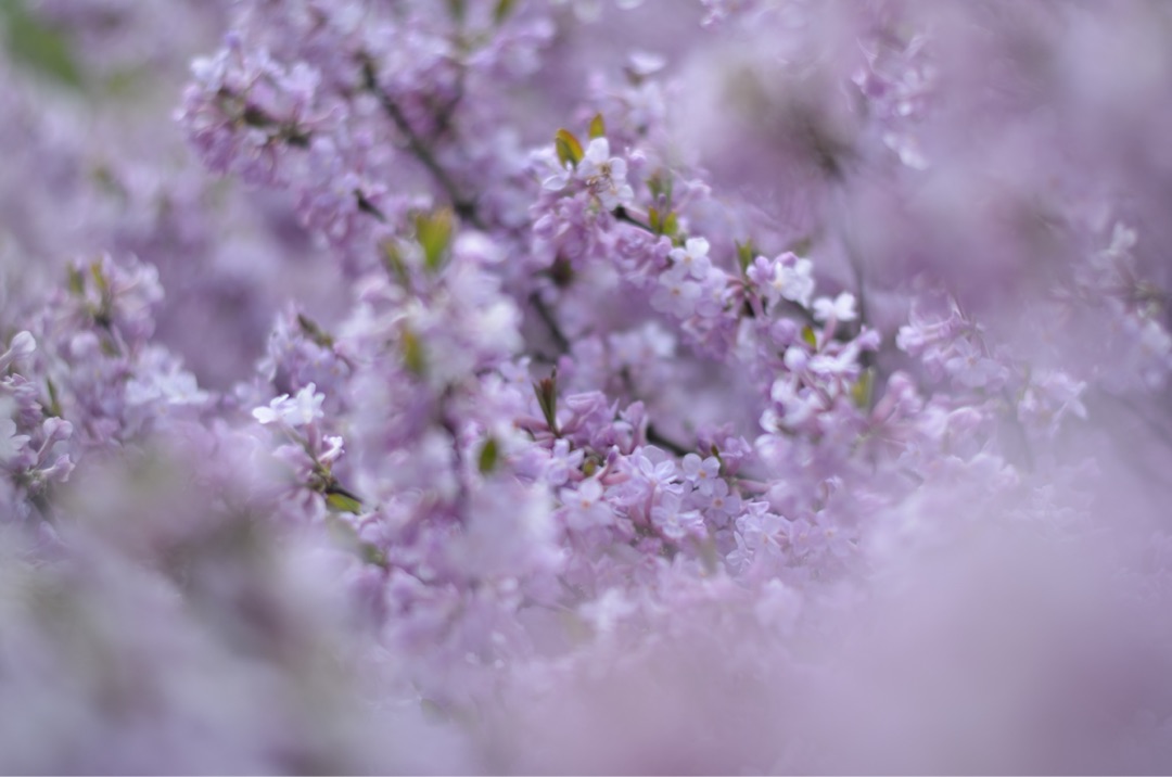 {B575D14C-693B-4DF6-8CDA-4EA03538C062}