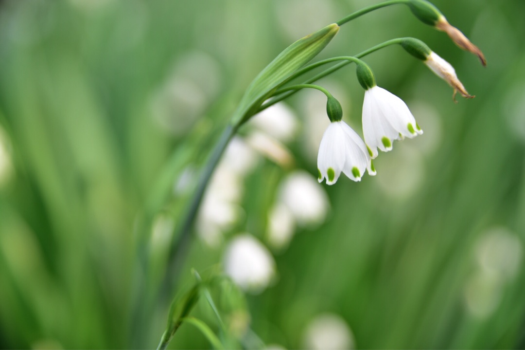 {2FC858D0-1EE6-431B-8098-797C2A1C7F6C}