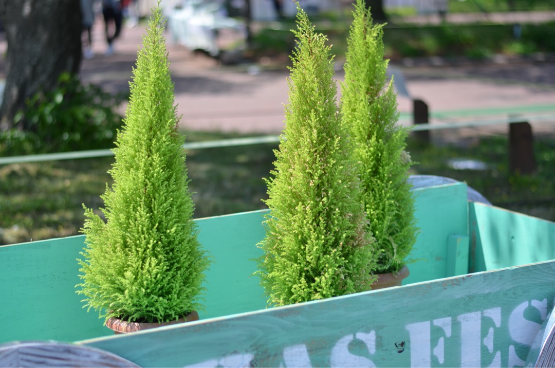 {B622A5EE-4CA2-4573-B08B-55D62D484F6A}