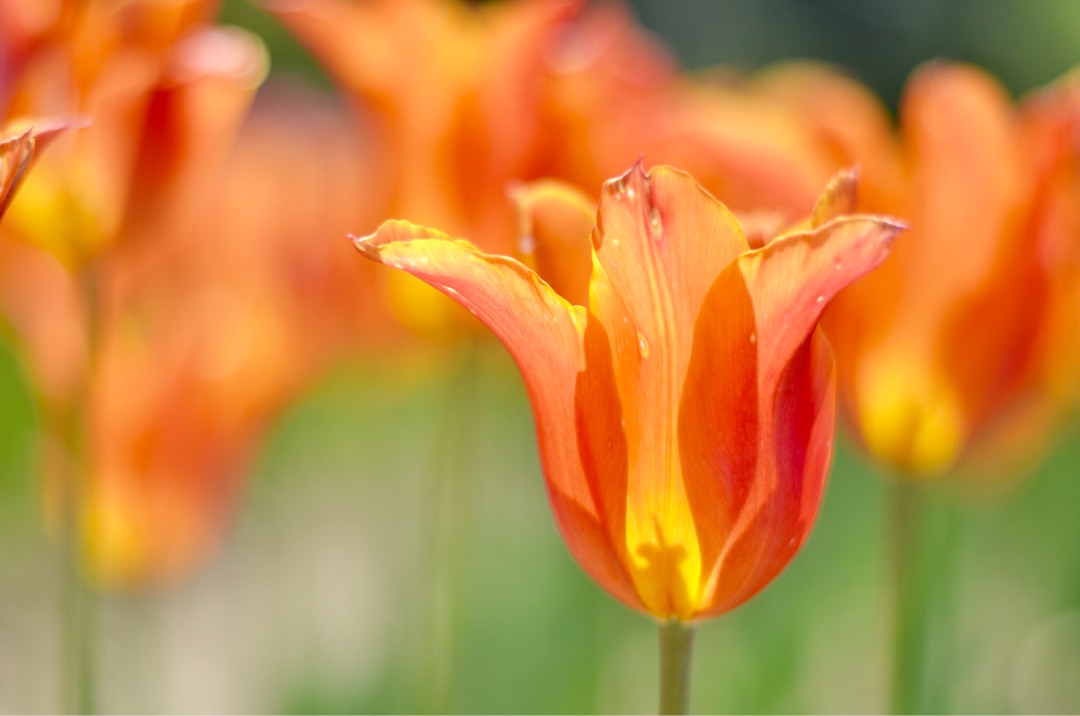 {F9F0A041-AA22-4091-8DAA-6894FB8F9595}