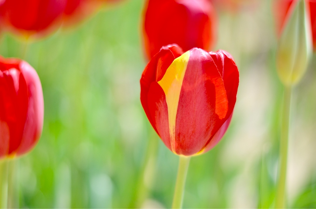 {9012AE34-80BF-47DC-80C2-0C50AE7D746D}