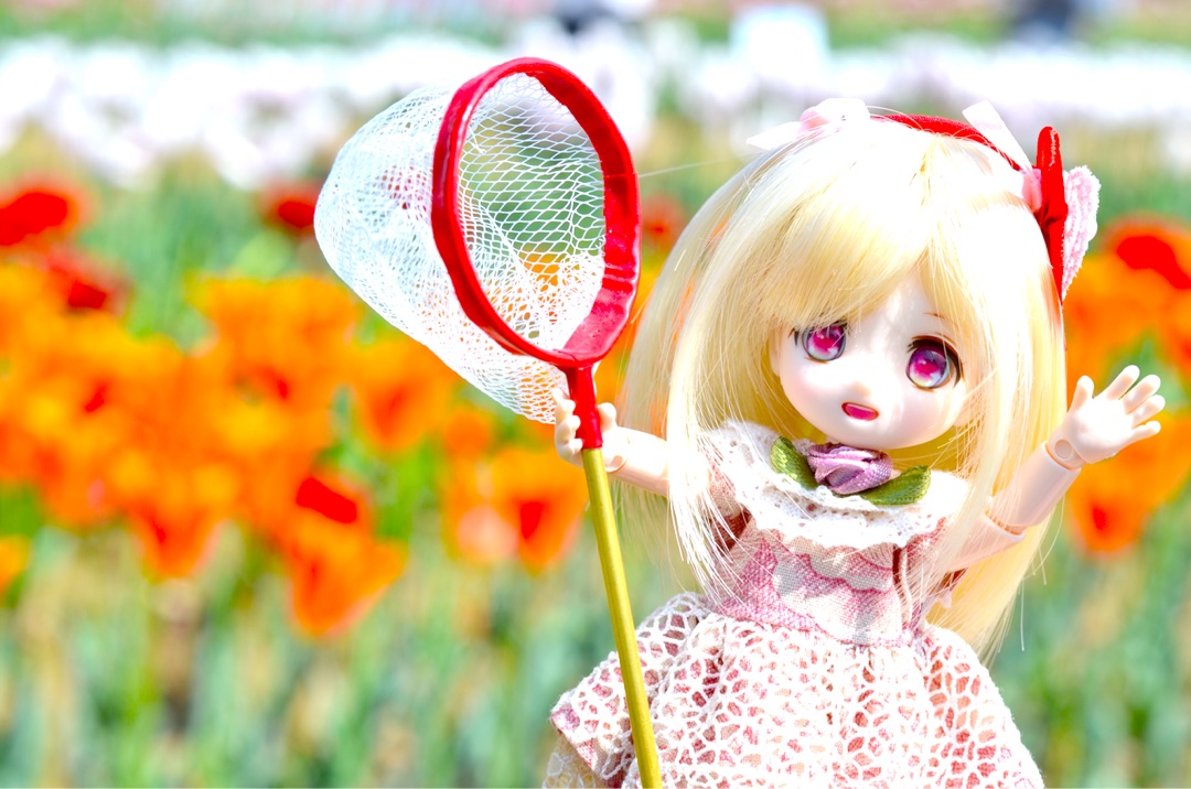 {118AB32A-9064-4831-8149-857C7B61F455}